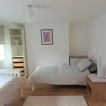 2 Bedroom Victorian Garden Flat لندن المظهر الخارجي الصورة