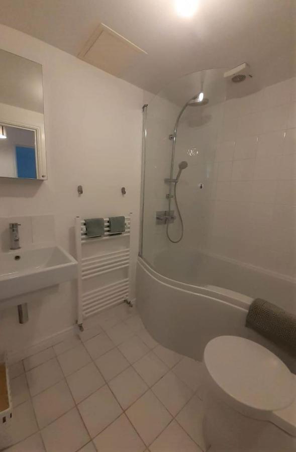 2 Bedroom Victorian Garden Flat لندن المظهر الخارجي الصورة