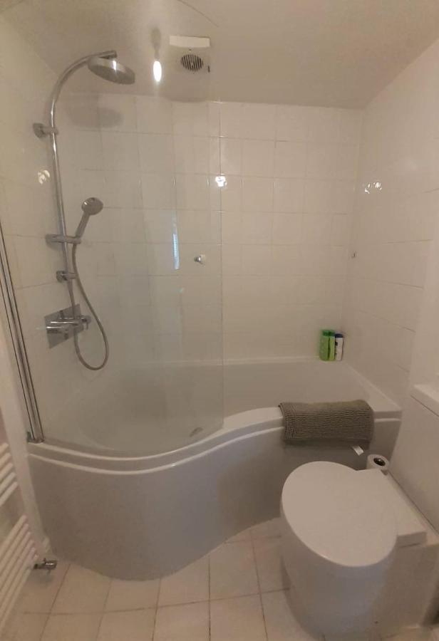 2 Bedroom Victorian Garden Flat لندن المظهر الخارجي الصورة